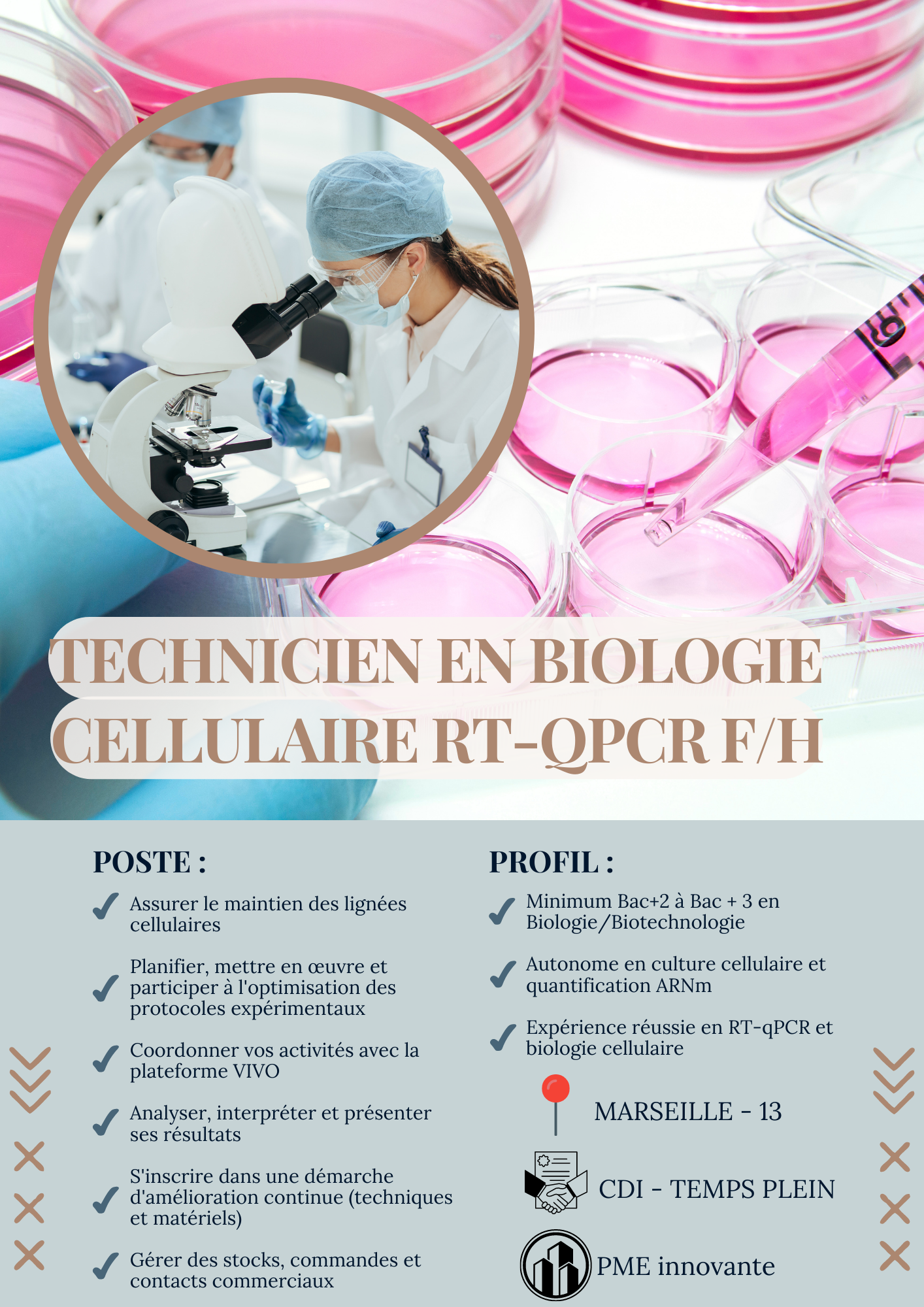 Technicien Biologie Cellulaire – RT-qPCR