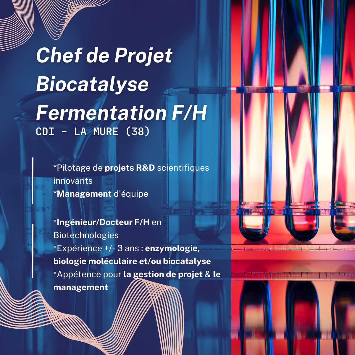 Chef de projet Biocatalyse Fermentation