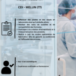 DIGITAL STAFFING FRANCE