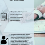 DIGITAL STAFFING FRANCE