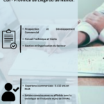 DIGITAL STAFFING FRANCE
